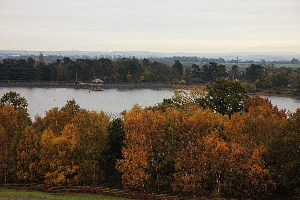 Bradgate Park