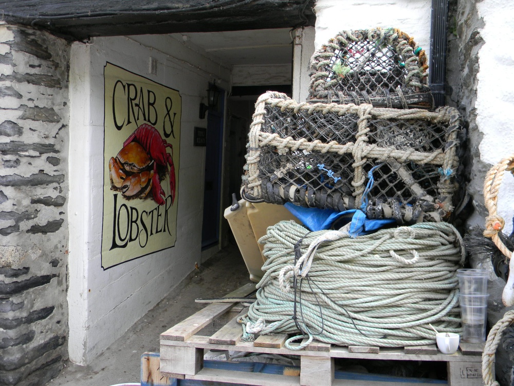 Crab & Lobster shop in Port Isaac