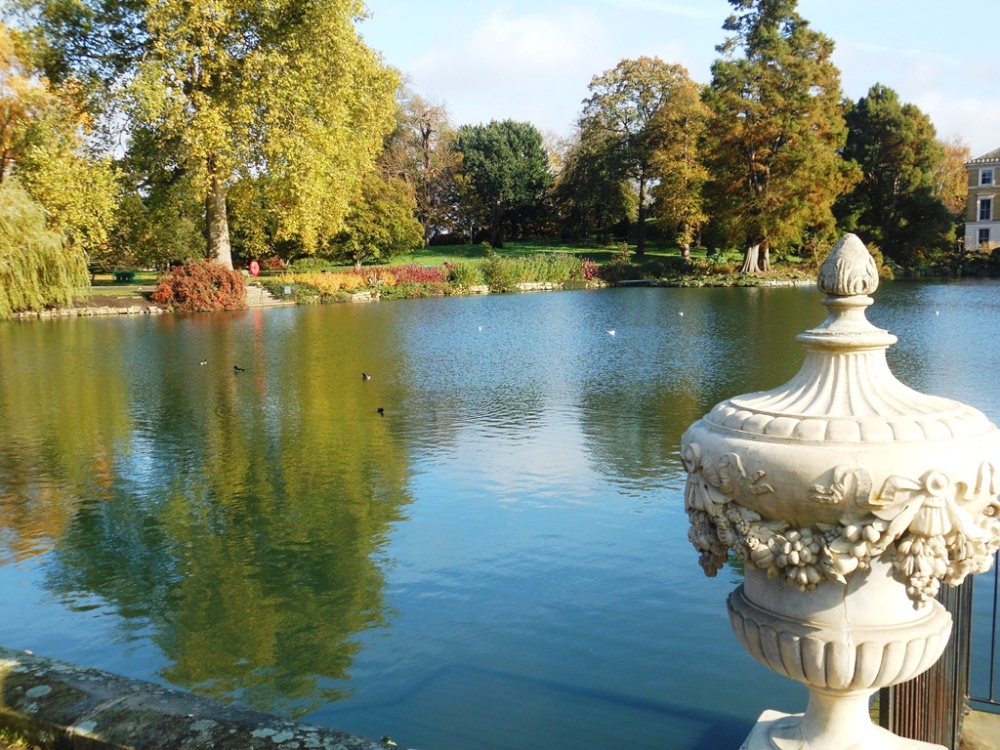 Palm House Pond, Kew Gardne