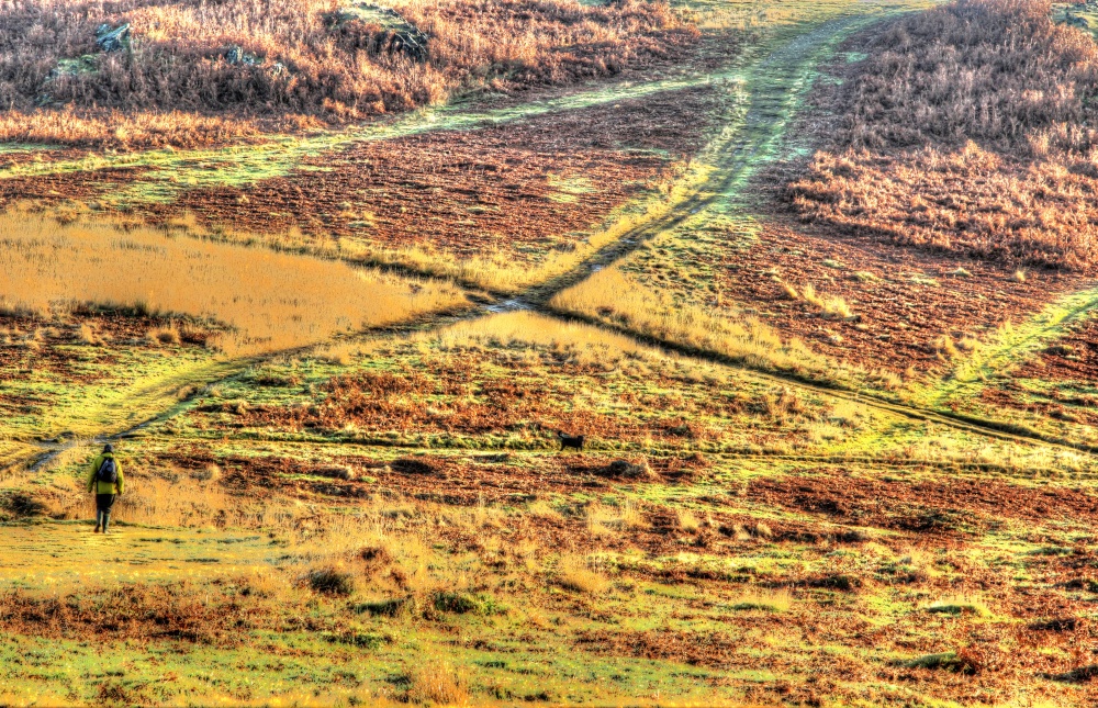 Bradgate Park