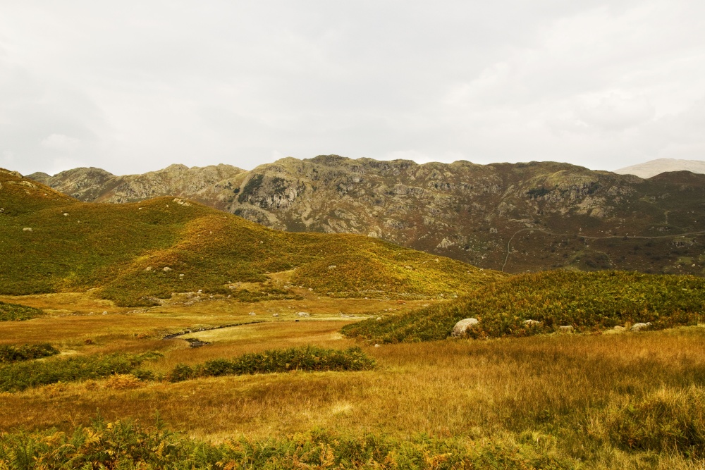 Far Easedale Fell