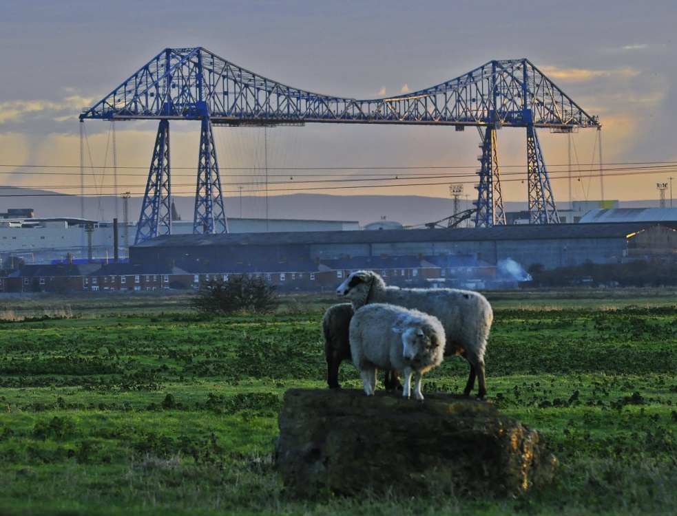 Transporter bridge, Port Clarence