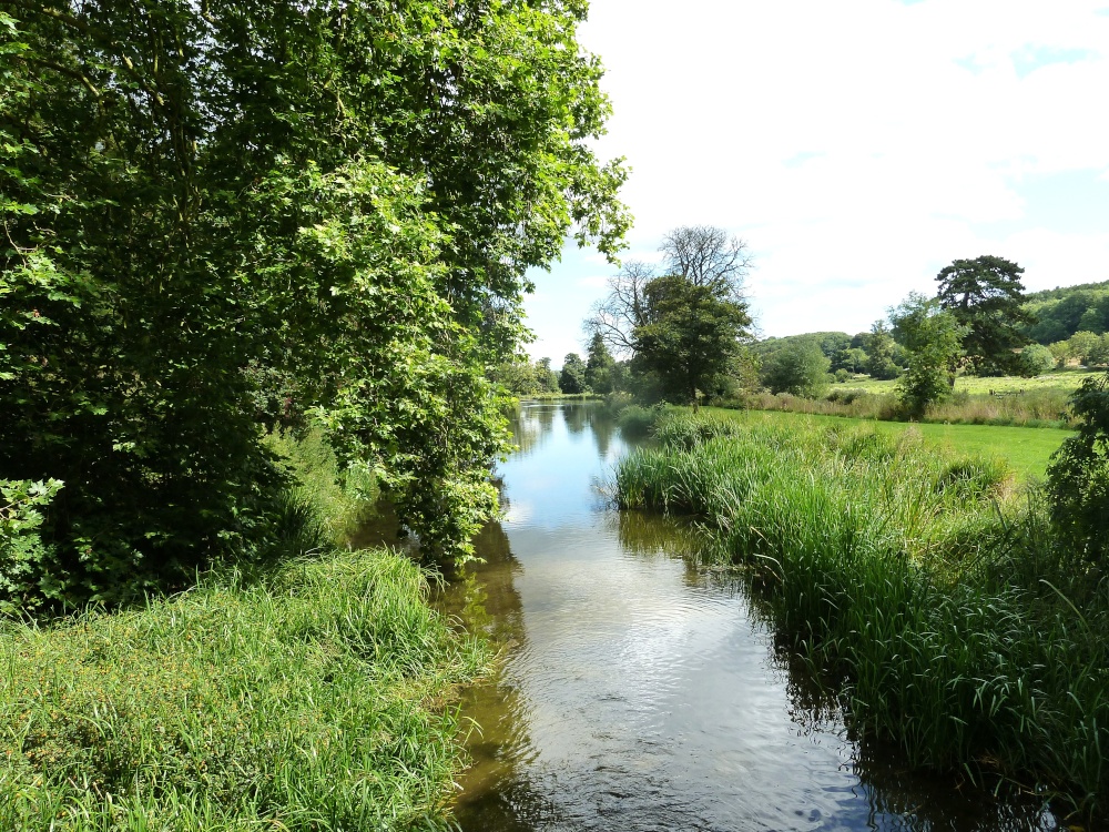 Photograph of River Chess and Latimer