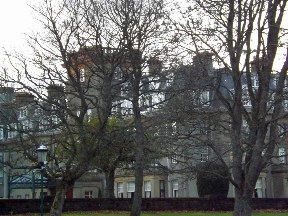 Gleneagles through the trees