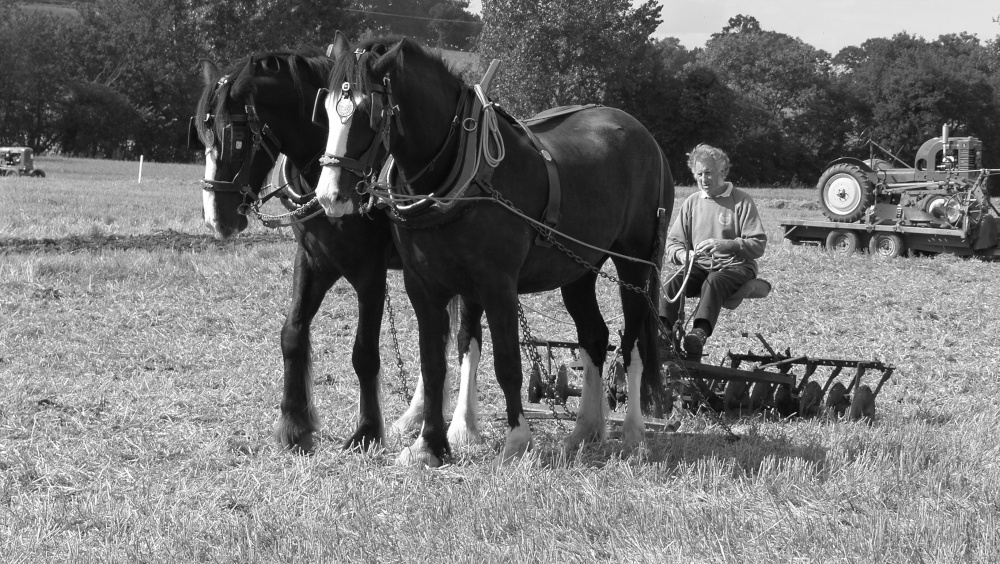 Rural show near Northampton