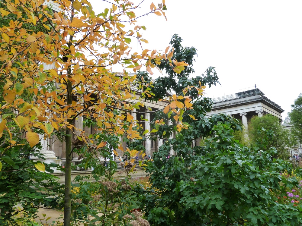 British Museum in Autumn