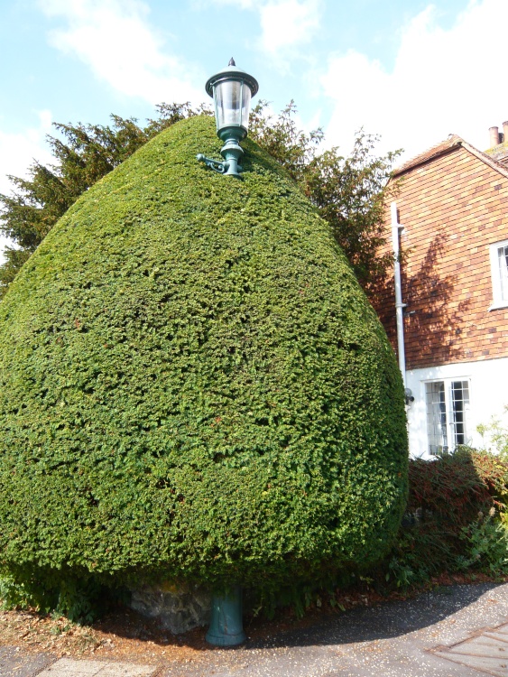 Hidden lamp post in Winchelsea