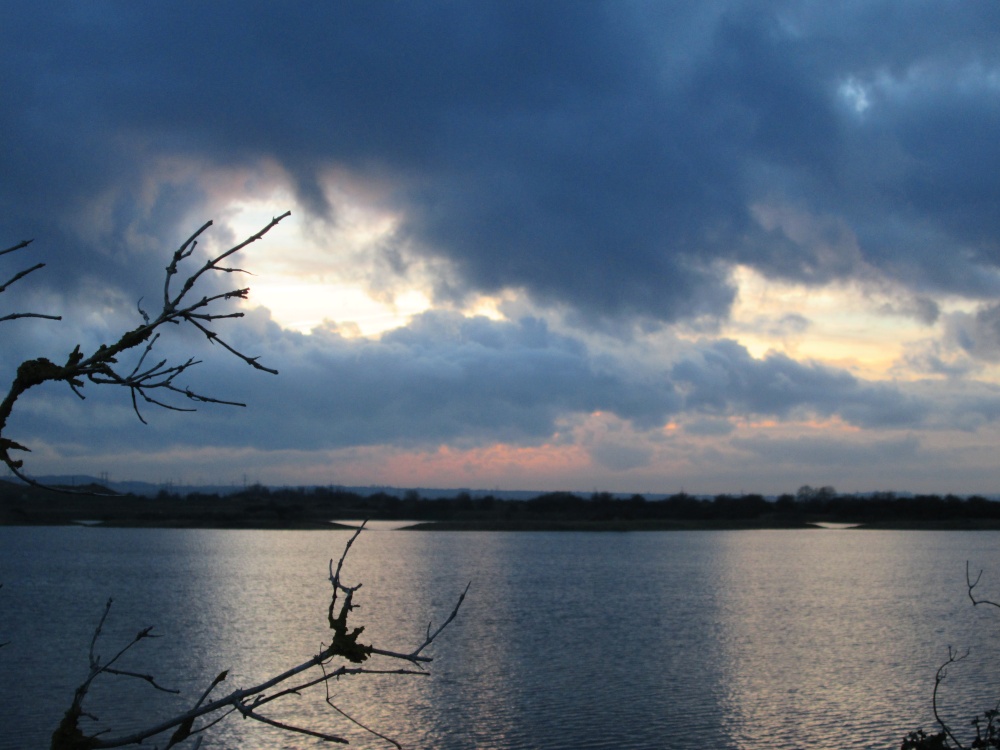 Cliffe Pools