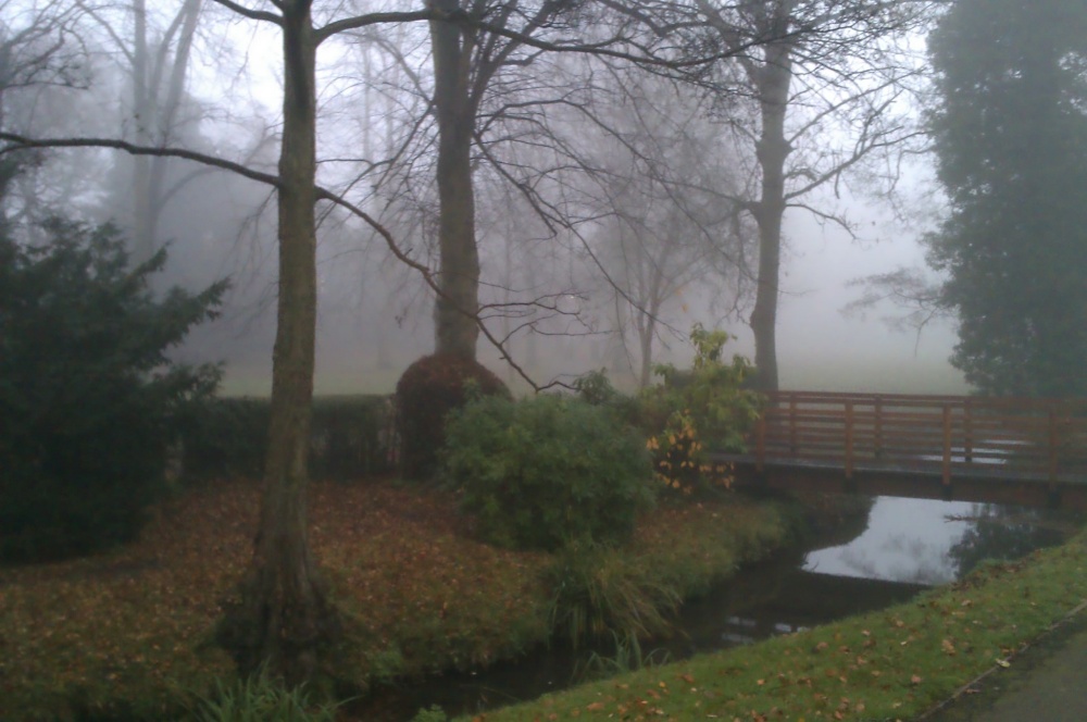 Misty morn, Bournville.