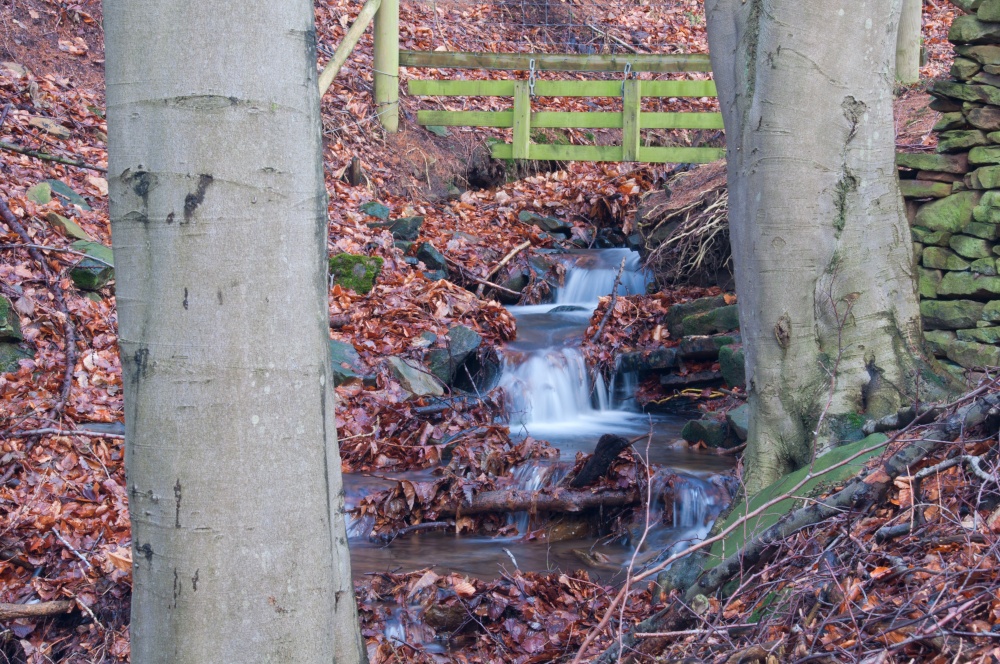 Derwent Valley