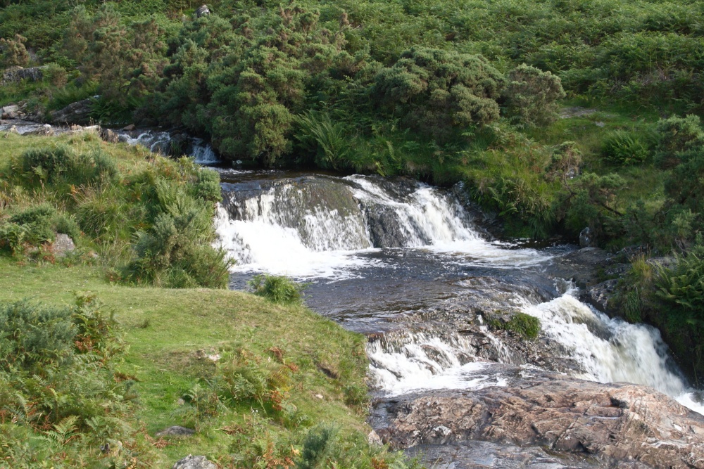 Red a Ven. Dartmoor, Meldon