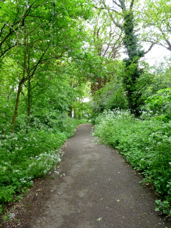 Horsenden Hill