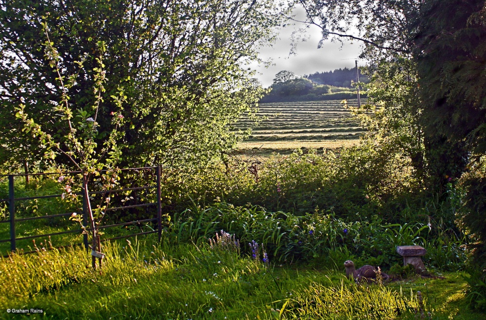 Stour Valley Spring, Shillingstone.