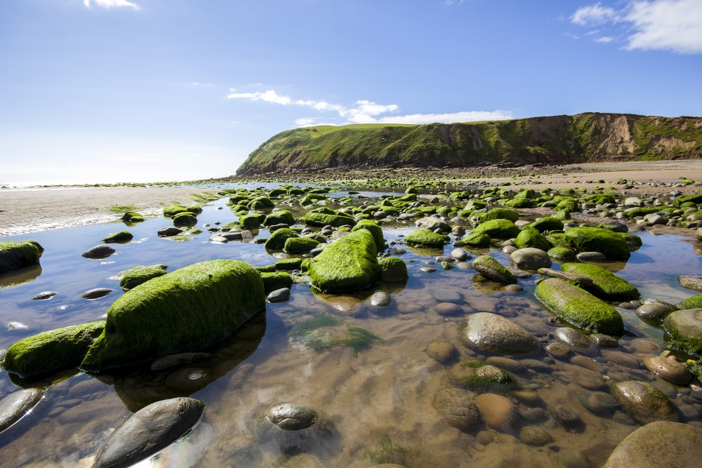 St Bees Head from the Rockpools photo by John Godley