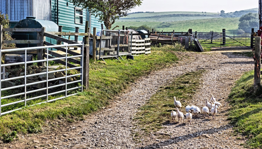 Heading For Freedom, Kettleness