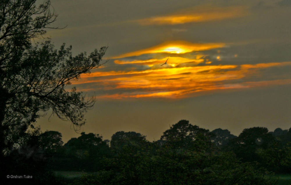 Stour valley Summer, Shillingstone.