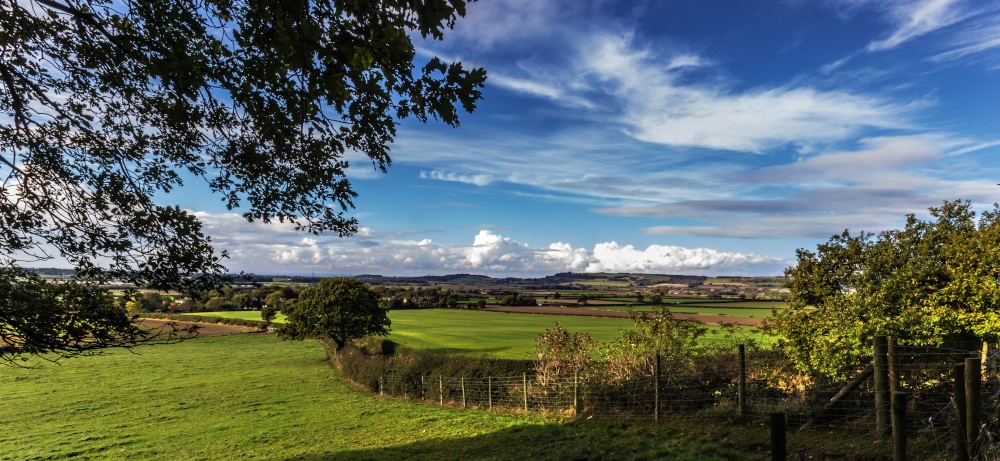 Newton Under Roseberry