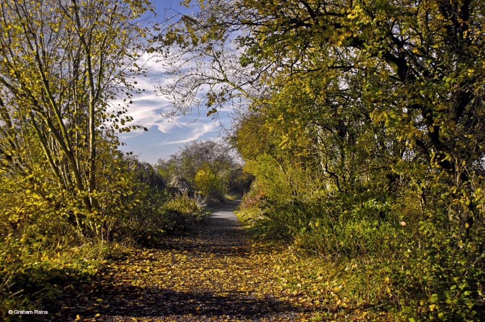 Stour Valley Autumn