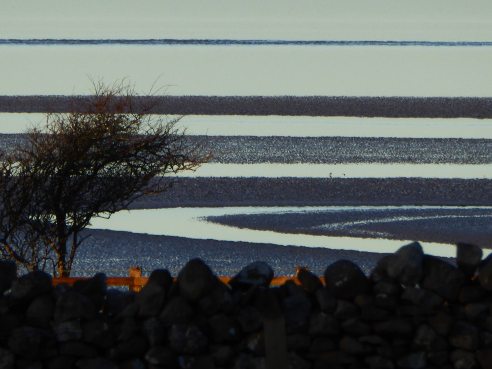 Morecambe Bay from Silverdale