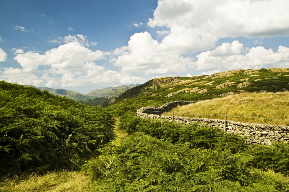 Loughrigg path