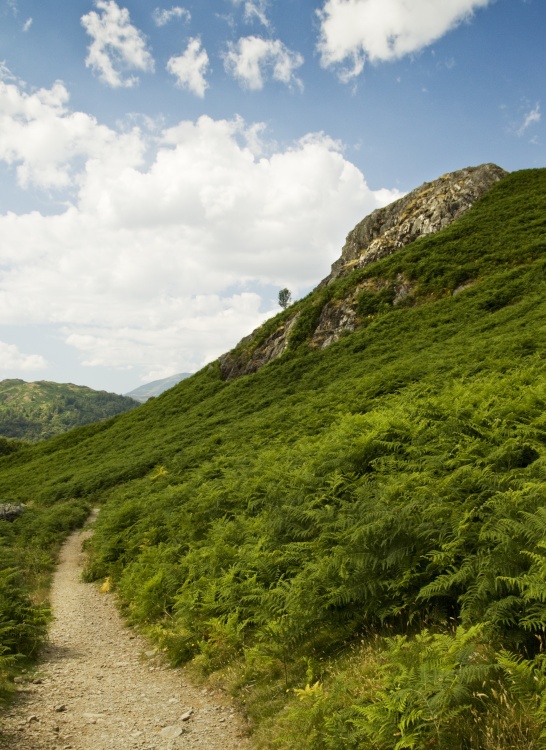 Towards Loughrigg Tarn From Ambleside