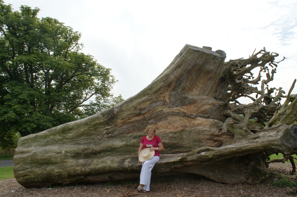 National Botanic Gardens of Wales