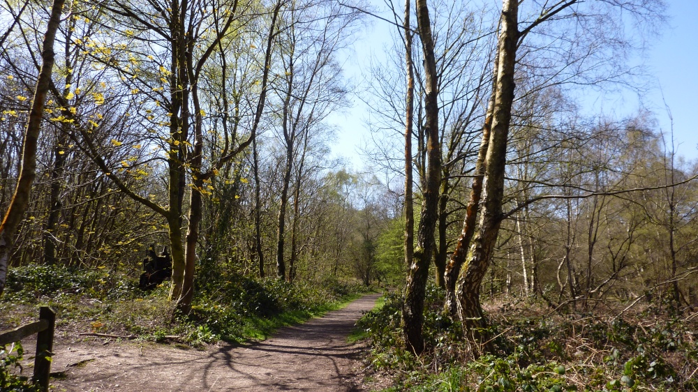 Beautiful spring day at Newlands Corner, 15th April 2015