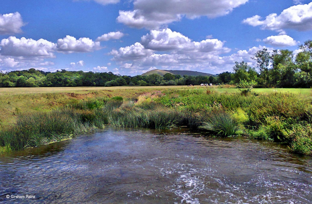 Blackmore Vale