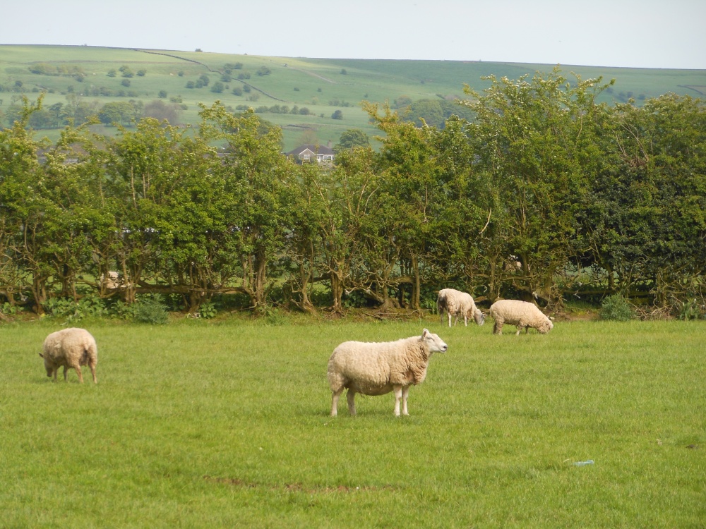 Leek, Staffordshire