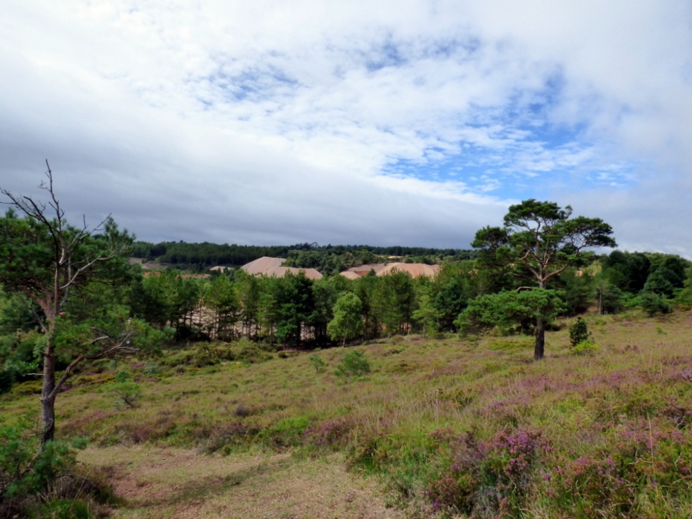 Woodbury Common