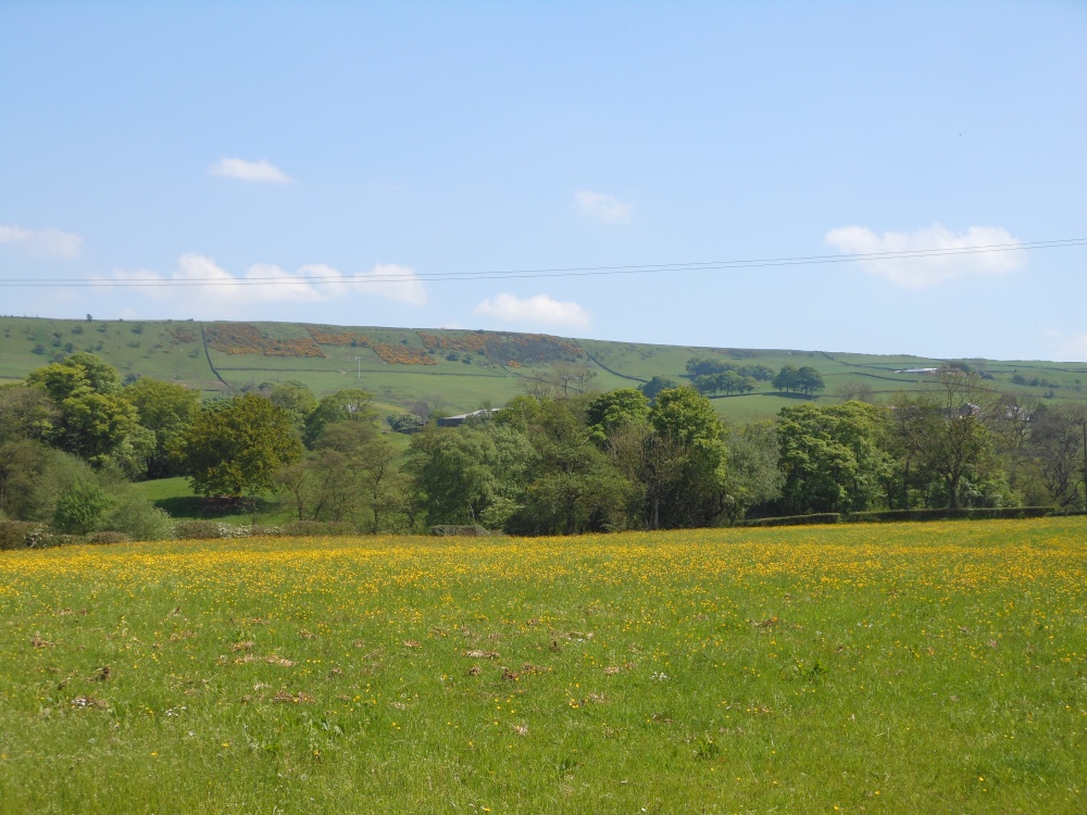 Near Leek, Staffordshire