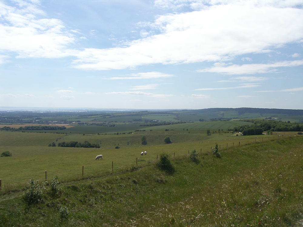 The South Downs of West Sussex