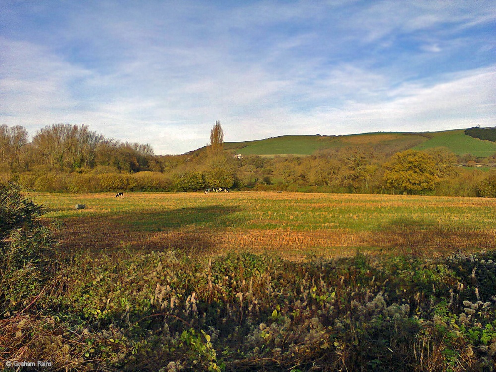 Hambledon Hill, North Dorset.