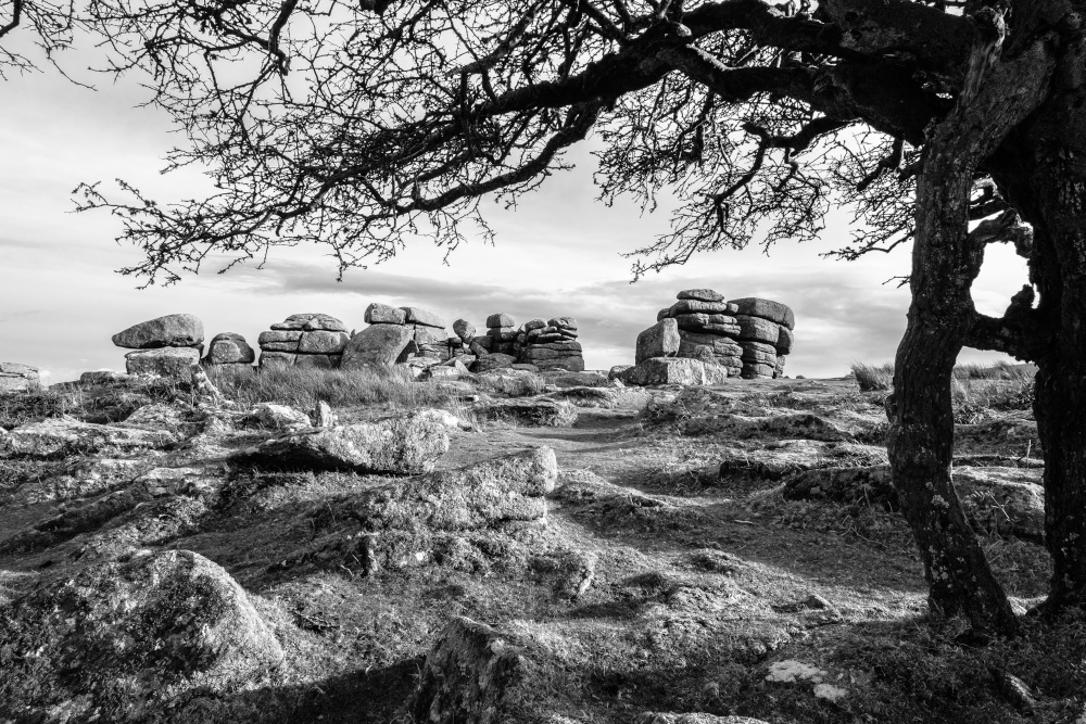 Combestone Tor - Dartmoor National Park