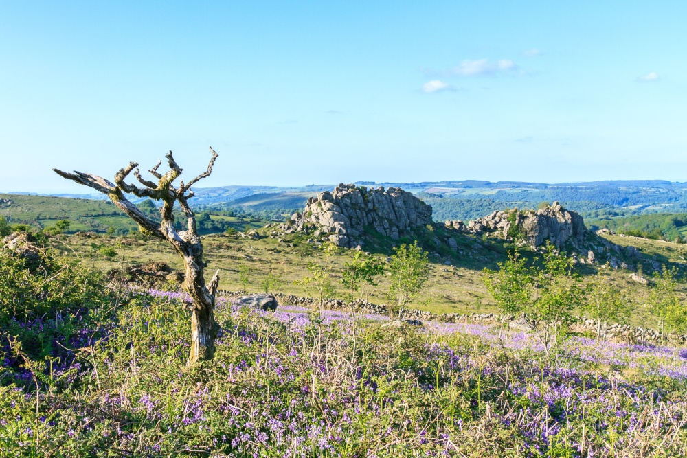 Greator Rocks - Dartmoor National Park