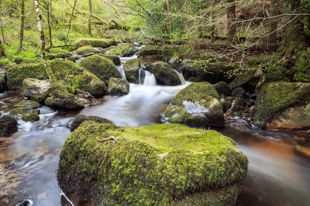 Becka Brook - Dartmoor National Park