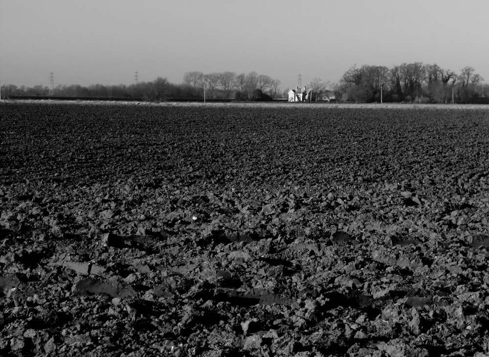 Photograph of Fen View Stow Cum Quy