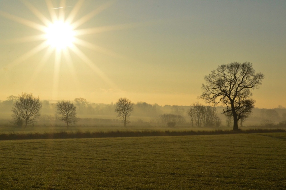 A misty morning