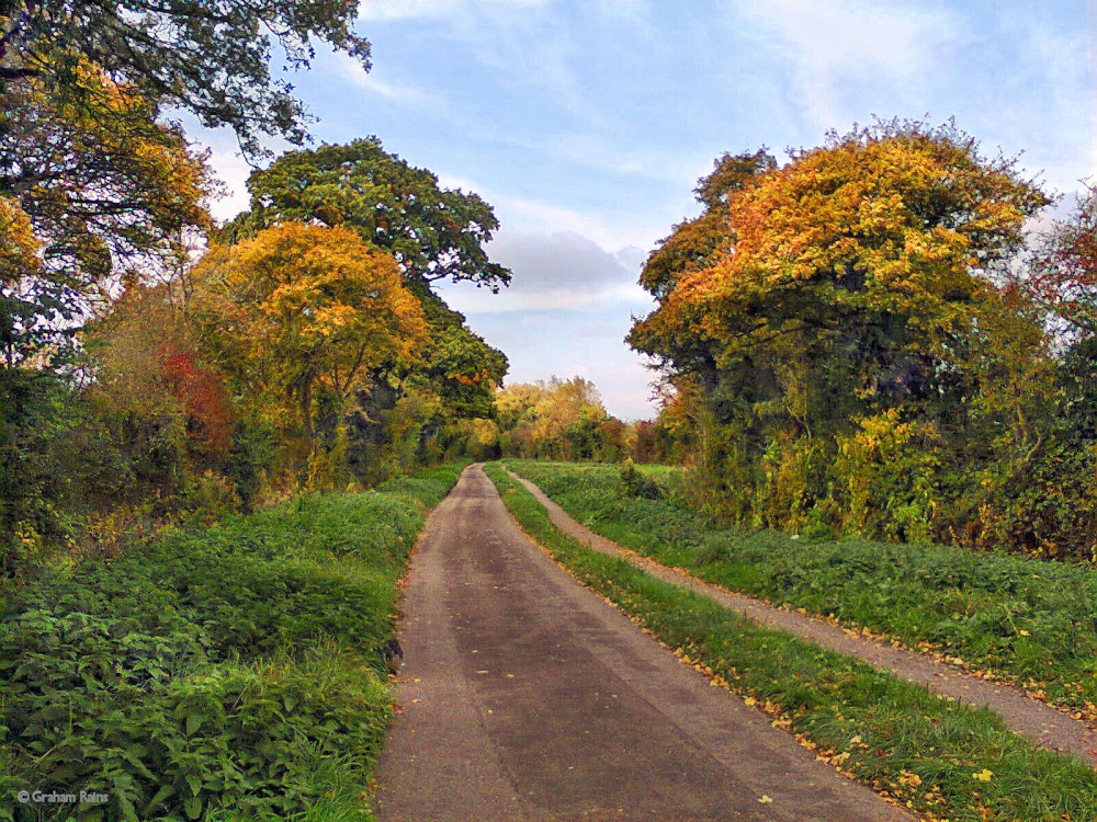 Srour valley Autumn