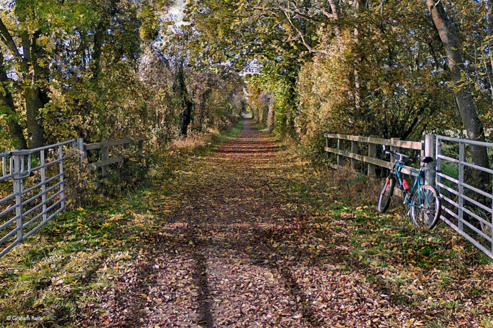 Stour Valley Autumn