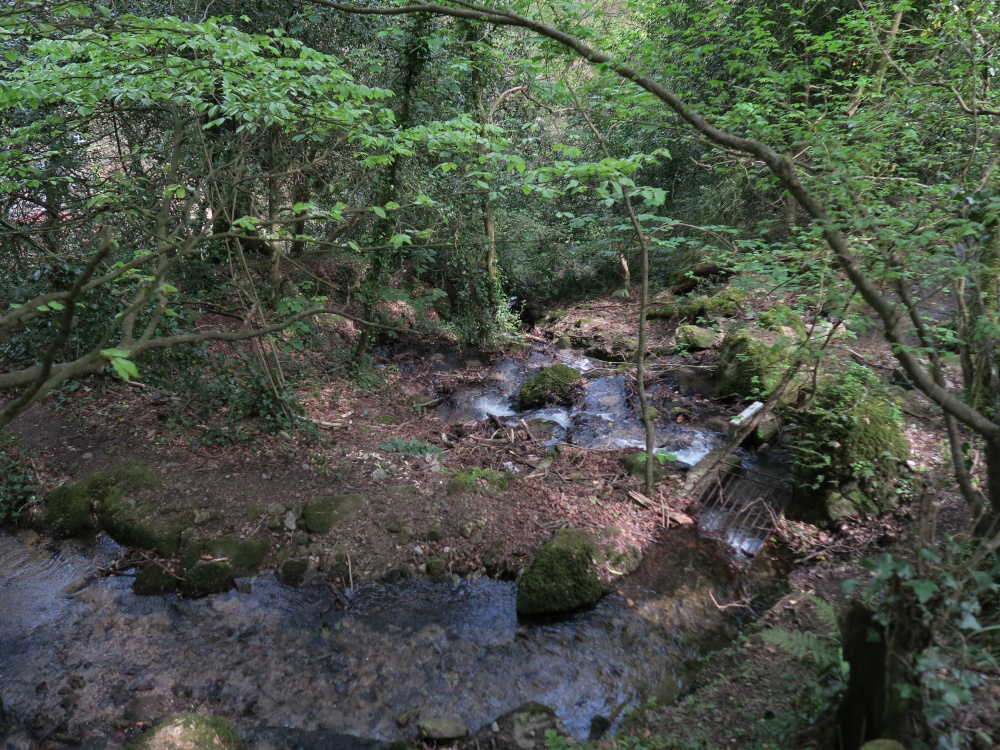 Kennall Vale Nature Reserve