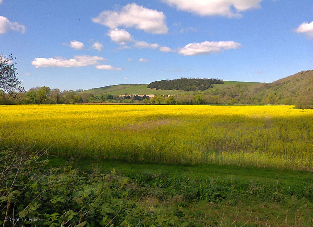 Hambledon, The North Dorset Trailway.