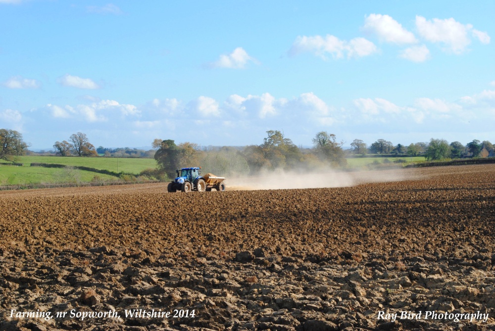 Farming, nr Sopworth, Wiltshire 2014