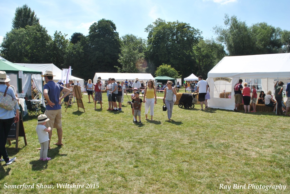 Somerford Show, Great Somerford, Wiltshire 2015