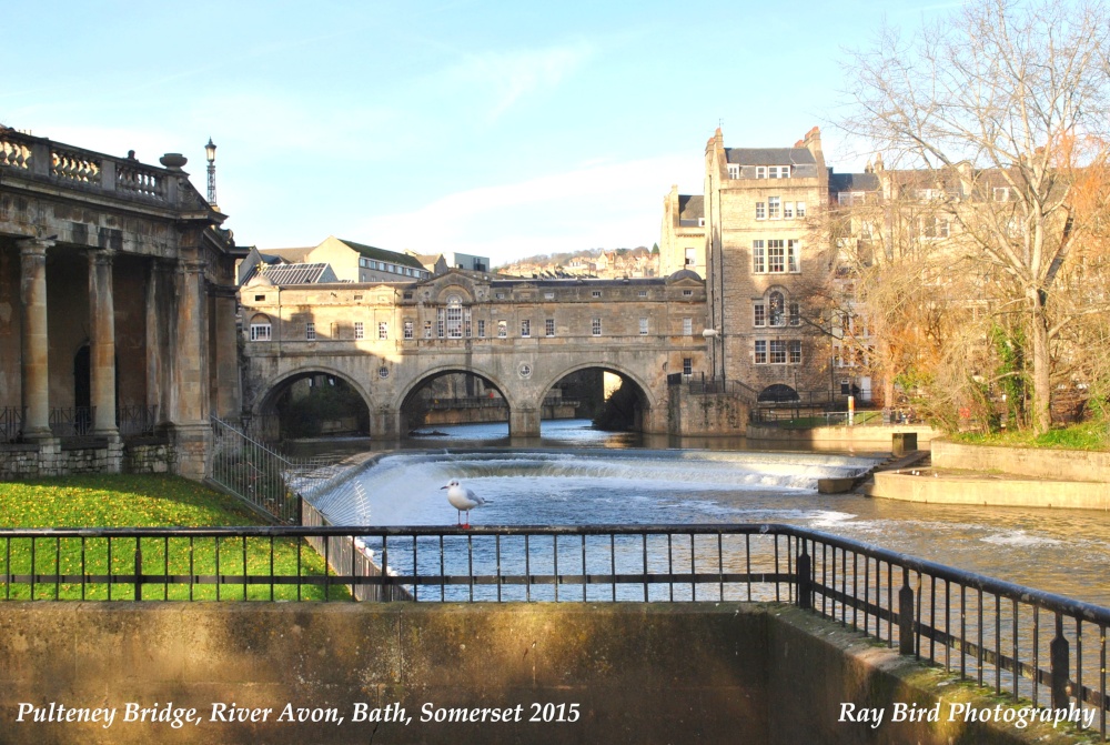 Pulteney Bridge, River Avon, Bath, Somerset 2015