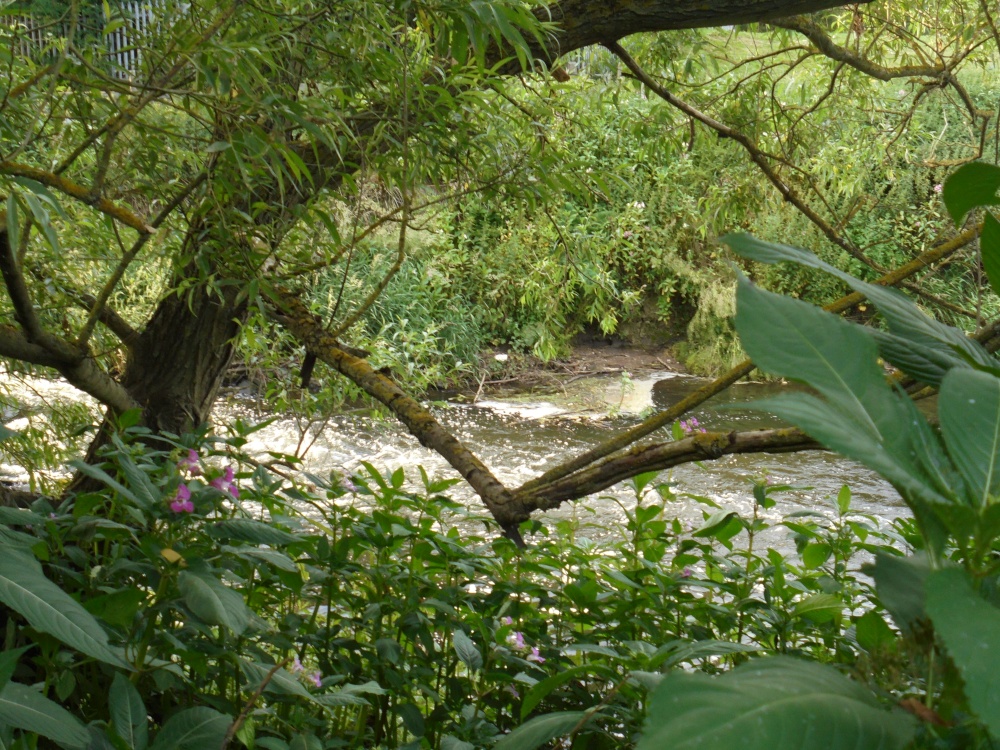 River Rother at Catcliffe