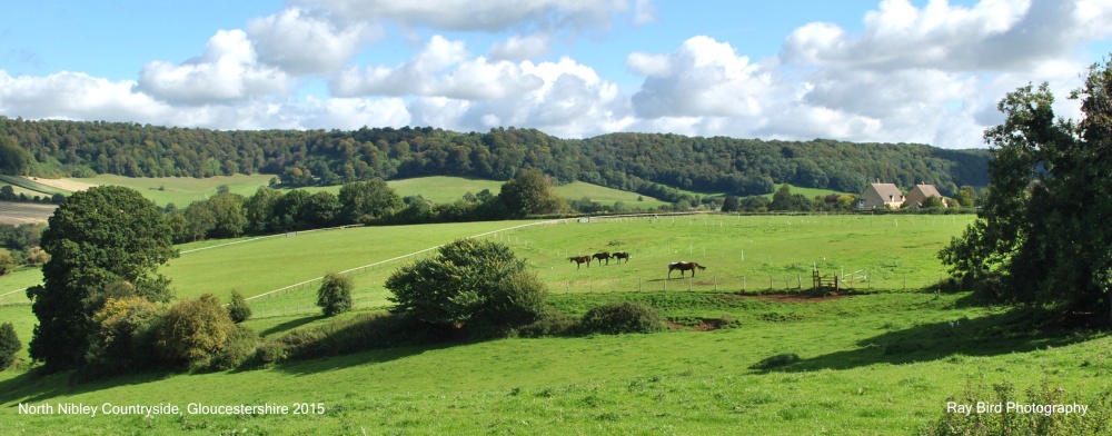 North Nibley Countryside, Gloucestershire 2015