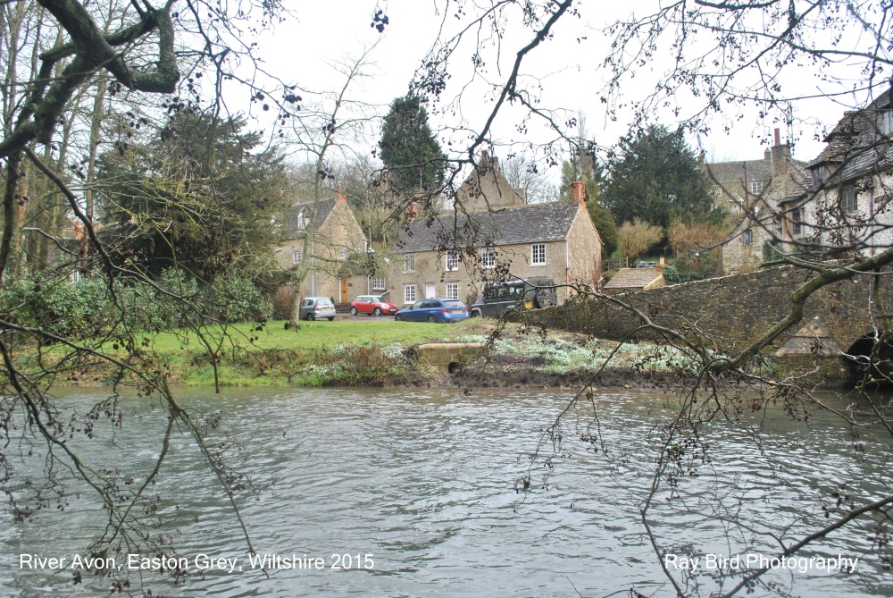 River Avon, Easton Grey, Wiltshire 2015