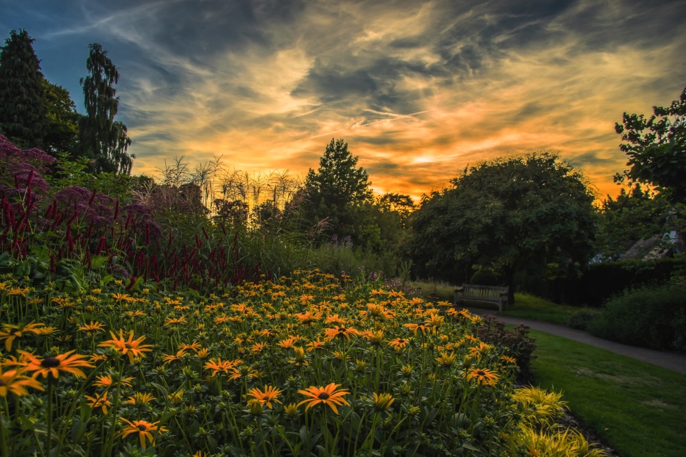 Photograph of Coombe Park, Croydon, Surrey