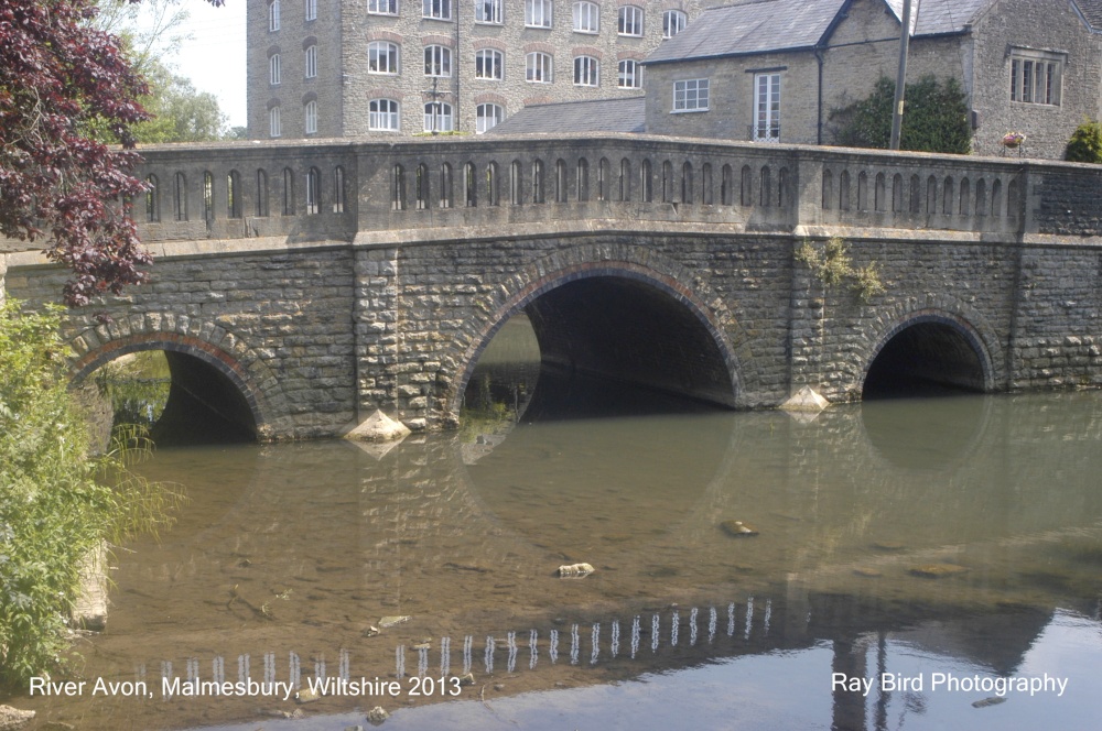 River Avon, Malmesbury, Wiltshire 2013